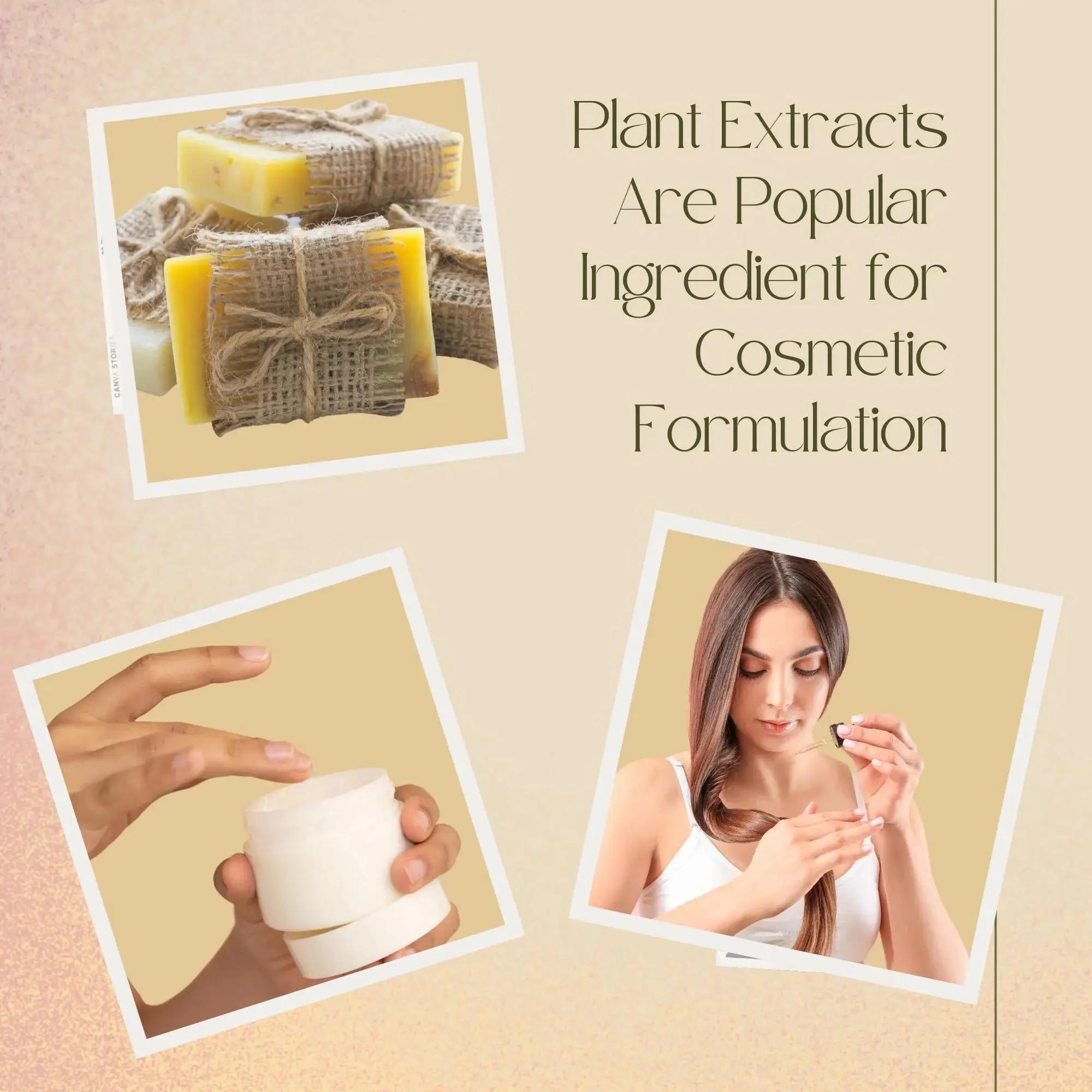 High Quality Soapberry Extract – Hair Care For Hair Loss Bewertung und Preis